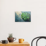 Photoboard / Hartschaum | Grüne Stille - Monstera-Blatt vor ruhigem Farbhintergrund