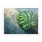 Photoboard / Hartschaum | Grüne Stille - Monstera-Blatt vor ruhigem Farbhintergrund