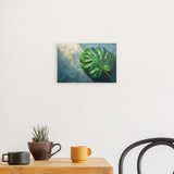 Alu Dibond (matt) | Grüne Stille - Monstera-Blatt vor ruhigem Farbhintergrund