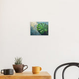 Alu Dibond (matt) | Grüne Stille - Monstera-Blatt vor ruhigem Farbhintergrund