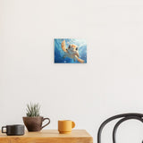 Photoboard / Hartschaum | Flossen voraus! - Niedliche Baby-Schildkröte im türkisblauen Meer (quer)