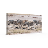 Zebra crossing