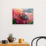 Dreamland - Ladybug in morning light