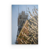 Photoboard / Hartschaum | Mine in spring light - Frühling im Revier
