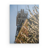 Photoboard / Hartschaum | Mine in spring light - Frühling im Revier