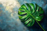 Poster (gerahmt) | Grüne Stille - Monstera-Blatt vor ruhigem Farbhintergrund