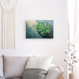Leinwand - Stärke 4cm | Grüne Stille - Monstera-Blatt vor ruhigem Farbhintergrund