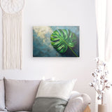 Leinwand - Stärke 4cm | Grüne Stille - Monstera-Blatt vor ruhigem Farbhintergrund