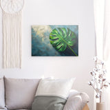 Photoboard / Hartschaum | Grüne Stille - Monstera-Blatt vor ruhigem Farbhintergrund