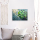 Photoboard / Hartschaum | Grüne Stille - Monstera-Blatt vor ruhigem Farbhintergrund