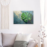 Acrylglas | Grüne Stille - Monstera-Blatt vor ruhigem Farbhintergrund