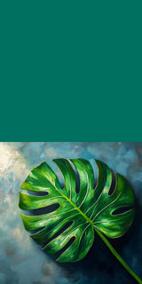 Plüschkissen (Waldgruen) | Grüne Stille - Monstera-Blatt vor ruhigem Farbhintergrund