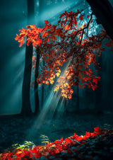 Poster ab 15 EUR | Goldene Sonnenstrahlen durch Herbstlaub (hoch)
