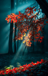 Poster (gerahmt) | Goldene Sonnenstrahlen durch Herbstlaub (hoch)