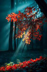 Poster (gerahmt) | Goldene Sonnenstrahlen durch Herbstlaub (hoch)