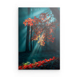 Photoboard / Hartschaum | Goldene Sonnenstrahlen durch Herbstlaub (hoch)