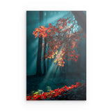 Alu Dibond (matt) | Goldene Sonnenstrahlen durch Herbstlaub (hoch)