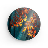 Rundes Wandbild | Goldene Sonnenstrahlen durch Herbstlaub (square)