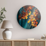 Rundes Wandbild | Goldene Sonnenstrahlen durch Herbstlaub (square)