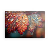 Alu Dibond (matt) | Herbstblätter mit Morgentau