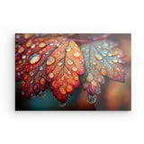 Acrylglas auf Alu-Dibond | Herbstblätter mit Morgentau