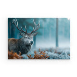 Photoboard / Hartschaum | Hirsch im nebeligen Herbstwald
