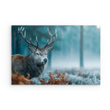 Alu Dibond (matt) | Hirsch im nebeligen Herbstwald