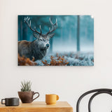 Alu Dibond (matt) | Hirsch im nebeligen Herbstwald