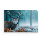 Acrylglas | Hirsch im nebeligen Herbstwald