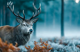 Puzzle | Hirsch im nebeligen Herbstwald