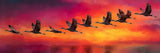 Poster | Kupferner Himmel mit ziehenden Vögeln (quer)