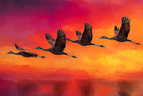 Poster ab 15 EUR | Kupferner Himmel mit ziehenden Vögeln (square)