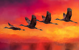 Poster (gerahmt) | Kupferner Himmel mit ziehenden Vögeln (square)