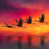 Photoboard (gerahmt) | Kupferner Himmel mit ziehenden Vögeln (square)