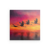 Alu Dibond (matt) | Kupferner Himmel mit ziehenden Vögeln (square)