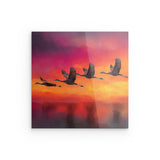 Acrylglas | Kupferner Himmel mit ziehenden Vögeln (square)