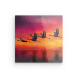 Acrylglas auf Alu-Dibond | Kupferner Himmel mit ziehenden Vögeln (square)