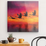 Acrylglas auf Alu-Dibond | Kupferner Himmel mit ziehenden Vögeln (square)