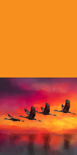 Plüschkissen (Orange) | Kupferner Himmel mit ziehenden Vögeln (square)