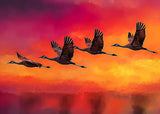 Poster ab 15 EUR | Kupferner Himmel mit ziehenden Vögeln (square)