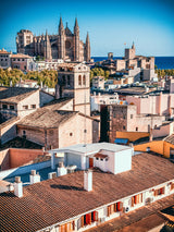 Palma daylight