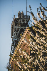 Mine in spring light